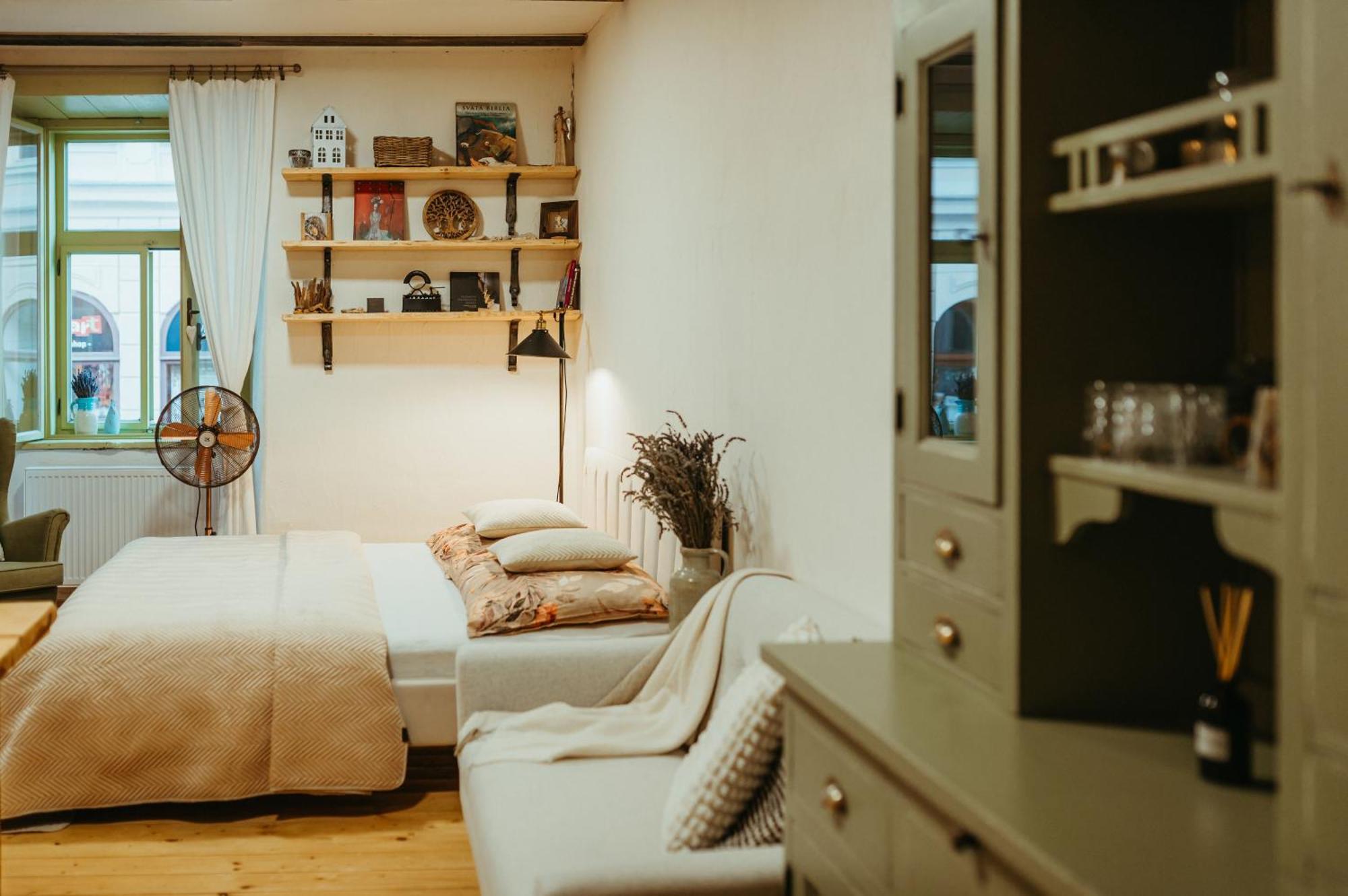 Apartman V Jungovom Dome - V Centre Stiavnice Banská Štiavnica 外观 照片